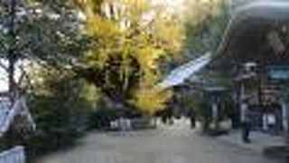 神話や伝統文化そして自然の宝庫に「鬼滅の刃」パワースポットまで