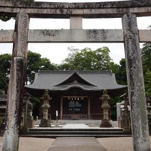 雰囲気いいでしょう