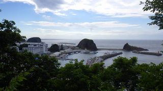 のんびりとしたウトロ港の様子をみることができました