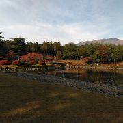 大芝湖の紅葉が綺麗でした。