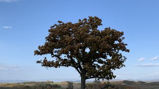 初めて見ました