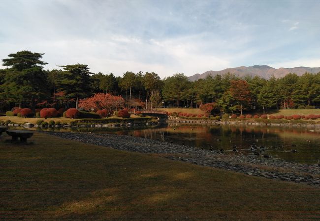 公園 大 芝 【宮城県】富谷市にある大亀山森林公園を紹介。アスレチックとそり遊びができてすごく楽しい公園です。