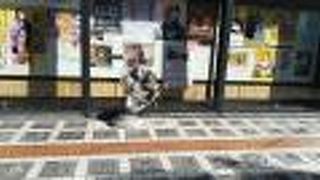 手形が沢山あります