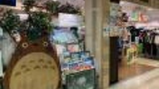 どんぐり共和国