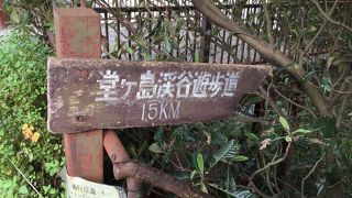 東電所有の山道