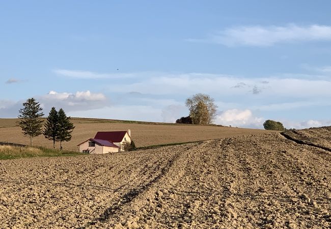 赤い屋根のある丘 クチコミ アクセス 営業時間 美瑛 びえい フォートラベル