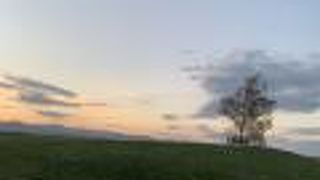 美瑛で一番の丘