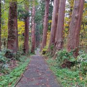 整備されているので歩きやすい