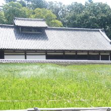 二月堂の裏側には田んぼもあります