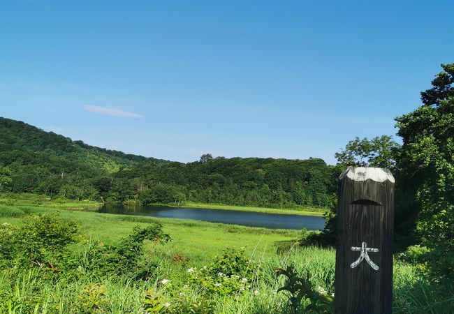 八幡平　大沼