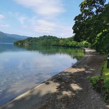 十和田湖　乙女の湖道
