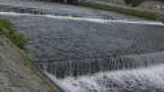 京都市内を流れる川