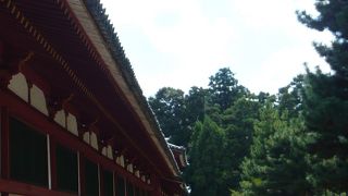 とても広い公園