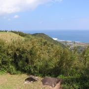 種子島の天辺