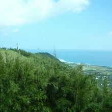 芝生広場からの景色