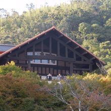 庭園から見るティールーム