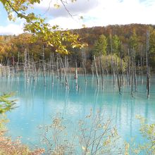 青い池