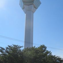 五稜郭公園内にあります