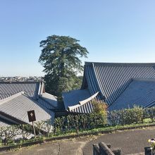 墓地から眺めた本堂