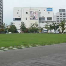 アートギャラリーアトリアの前の緑の芝生区画です。きれいな緑