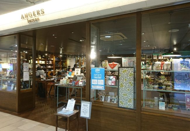 高級感溢れるお店です。