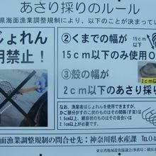 あさり採りのルールの掲示