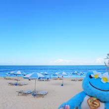 パラソルやビーチチェアーは有料です…