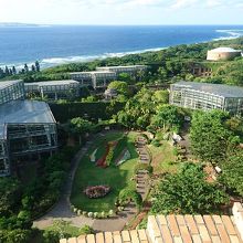 塔の上からの景色