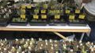 盆栽をはじめとした祭りがあります