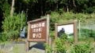 SLを吊り橋から見られる