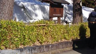 みそソムリエの居る朝市