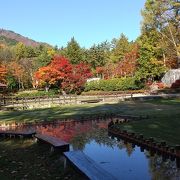 涌き出る温泉と足湯