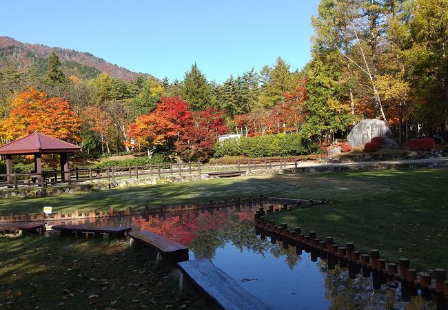 日向山高原