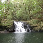 高地のない種子島では珍しい滝