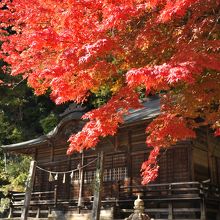天気がいいと紅葉が映える