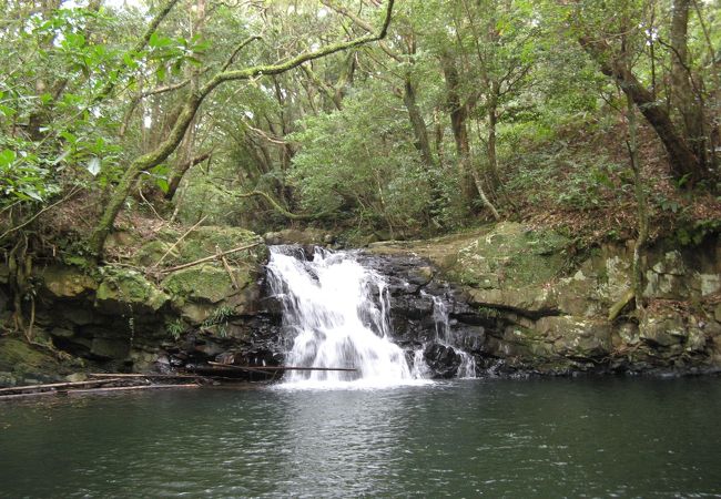 高地のない種子島では珍しい滝