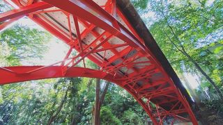 都会のオアシス