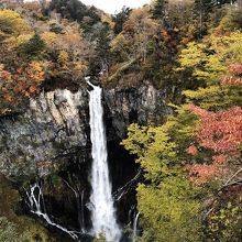 紅葉に映える