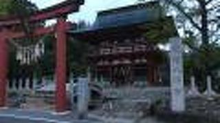 飯野八幡宮流鏑馬神事