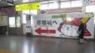 改札にひこにゃん！