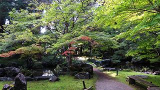 苔が美しい庭園。