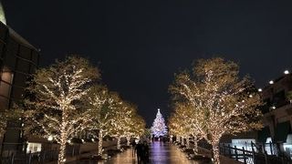 イルミーネションをみにいきました、駅からとても近く、雨の日でも屋根付きのルートがあって、助かりました。お庭にクリスマスツリーがとても綺麗で、輝いていまいた。さらに両側の木も飾られていて、素敵でした