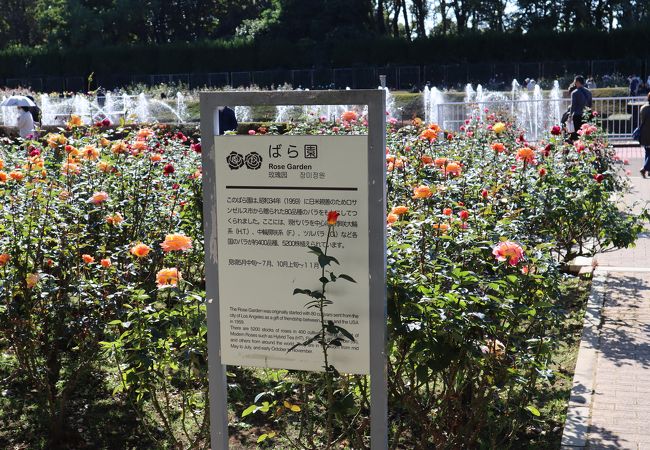 都立神代植物公園 クチコミ アクセス 営業時間 調布 狛江 フォートラベル
