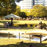 阪神線間に広がる大きな公園。