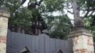 昭和初期の洋風建築