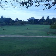 春日山を下りて東大寺に向かう