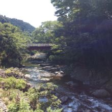 遊歩道からの川の眺め