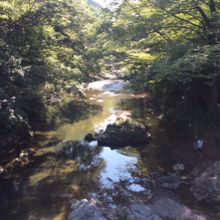 遊歩道近くの橋からの眺め