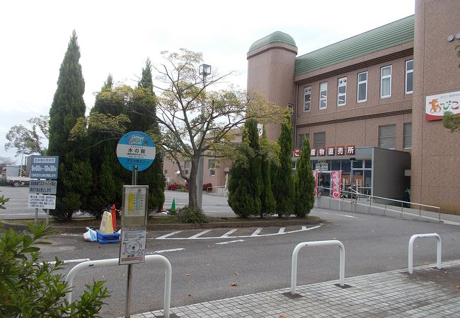 手賀沼親水広場 水の館 クチコミ アクセス 営業時間 我孫子 フォートラベル