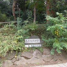 公園のように整備されています。